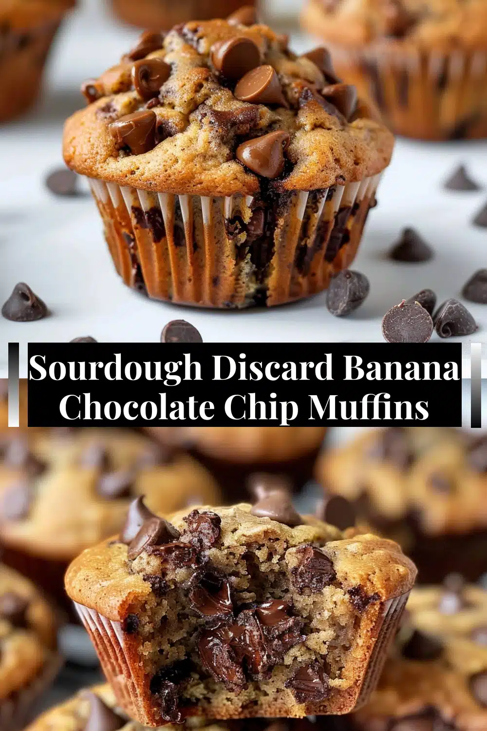 Sourdough Discard Banana Chocolate Chip Muffins 7 sourdough-discard-banana-chocolate-chip-muffins.webp