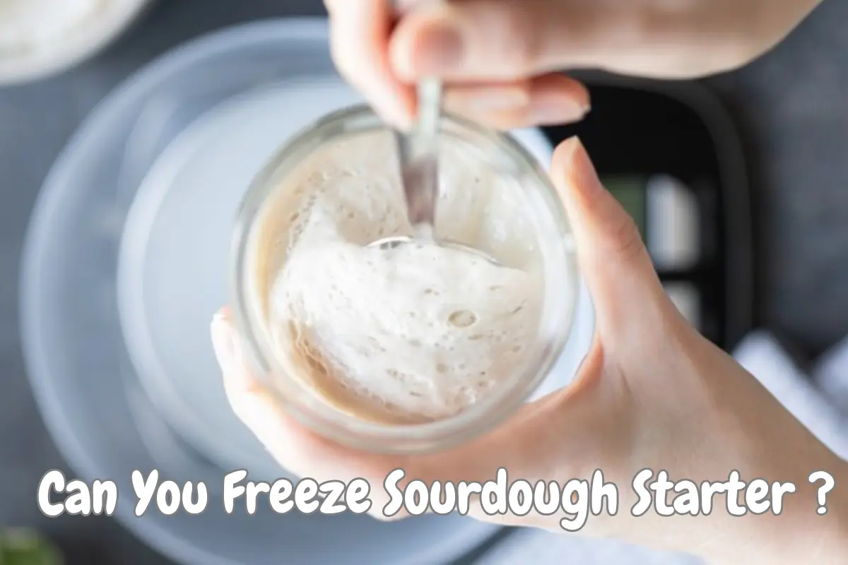 Sourdough Discard Recipes – Delicious, Easy & Zero Waste 3 Can You Freeze Sourdough Starter? Yes—Here’s How to Do It Right