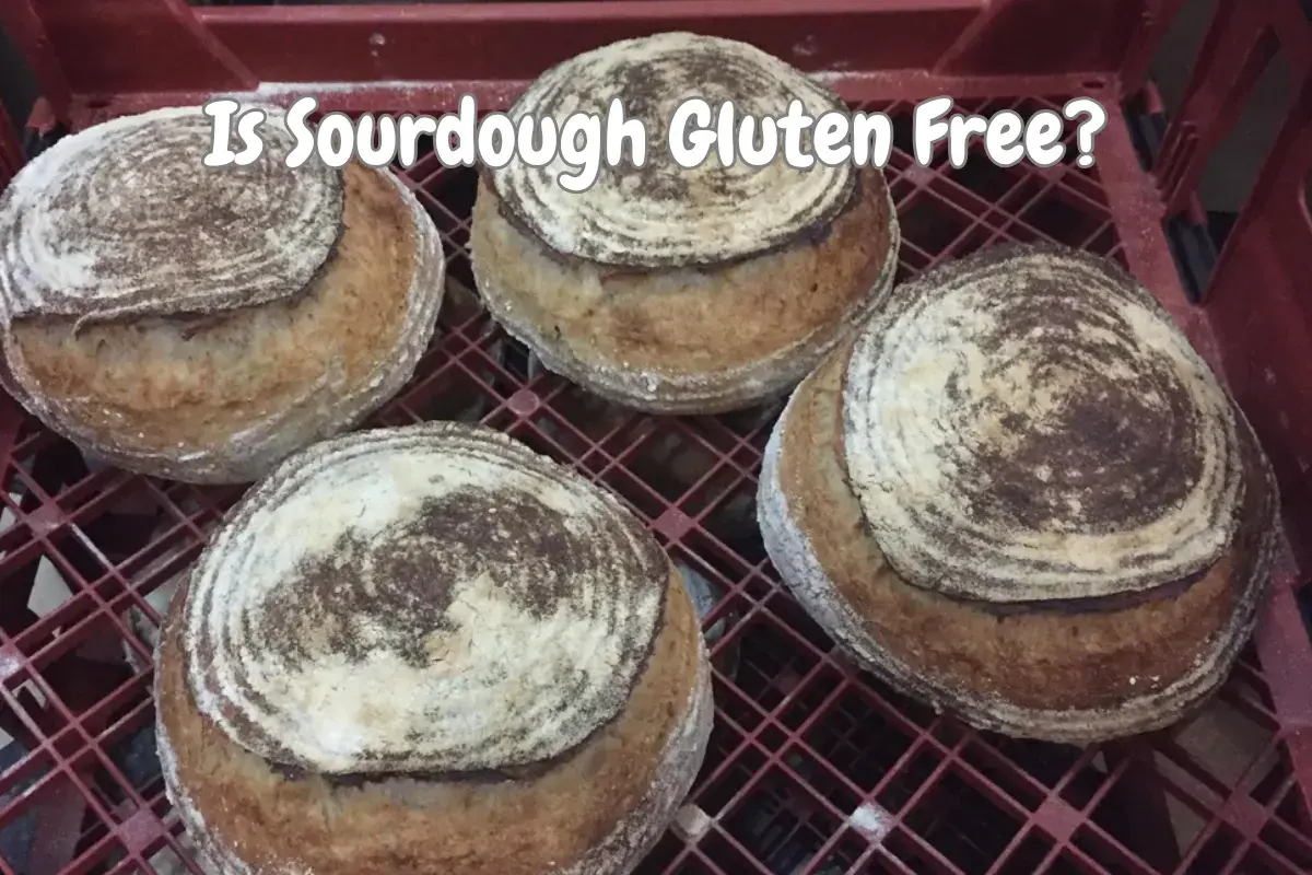 Is Sourdough Gluten Free? A Complete Guide for Health-Conscious Eaters