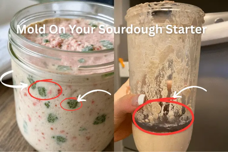 Mold On Sourdough Starter