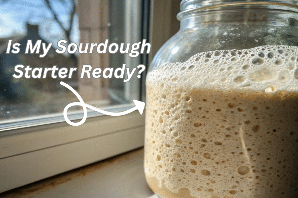 Sourdough starter with bubbles in a glass jar