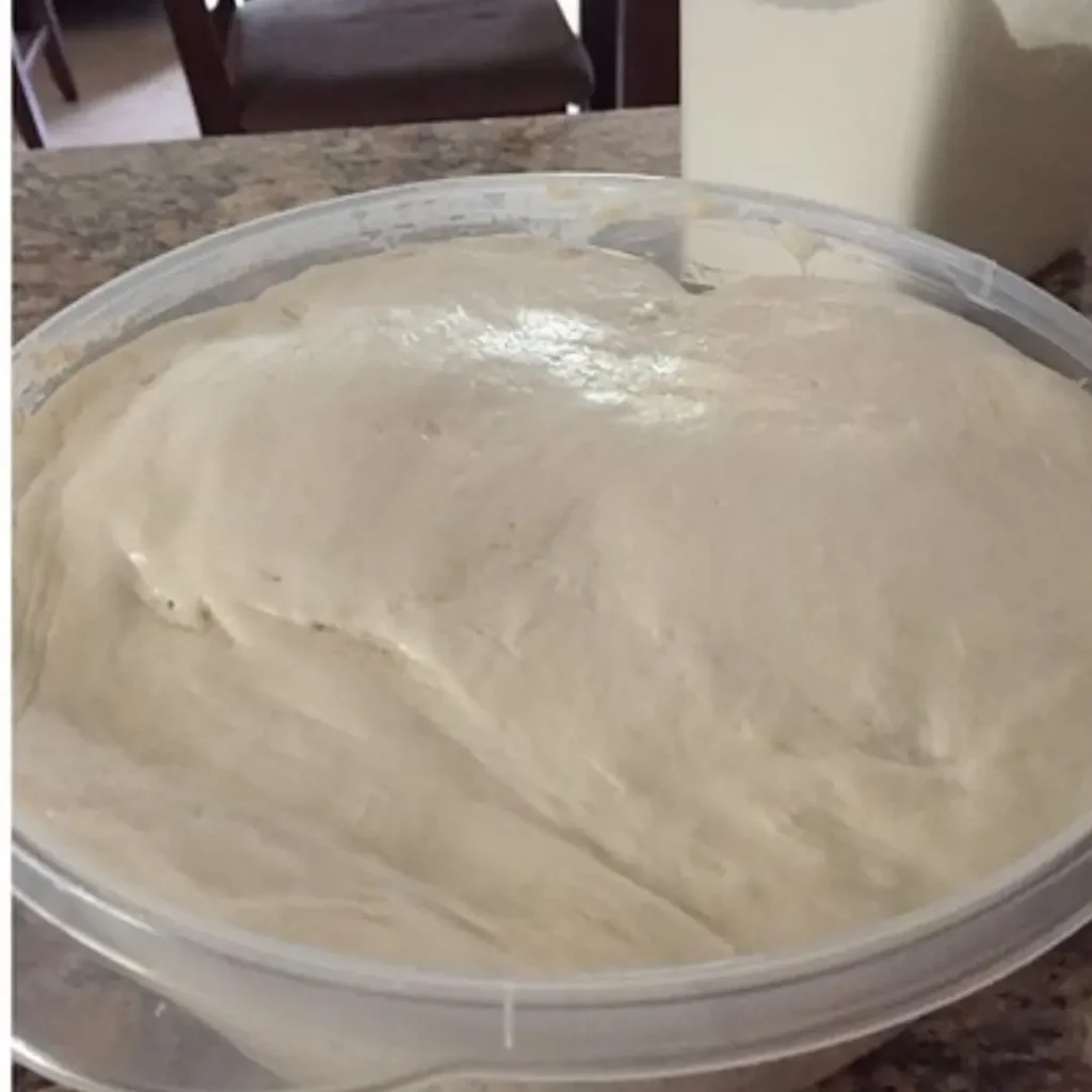 Can You Freeze Sourdough Starter? Yes—Here’s How to Do It Right 1 Sourdough Bread Boules