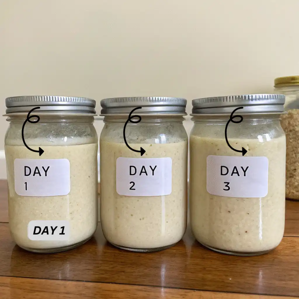 Is My Sourdough Starter Ready? Here's What It Actually Looks Like (With Pics in Mind!) 2 Sourdough Starter Growth Timeline