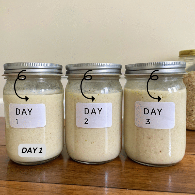 what-does-sourdough-starter-look-like-when-it-s-ready
