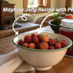 Fresh mayhaws in a Southern kitchen setting