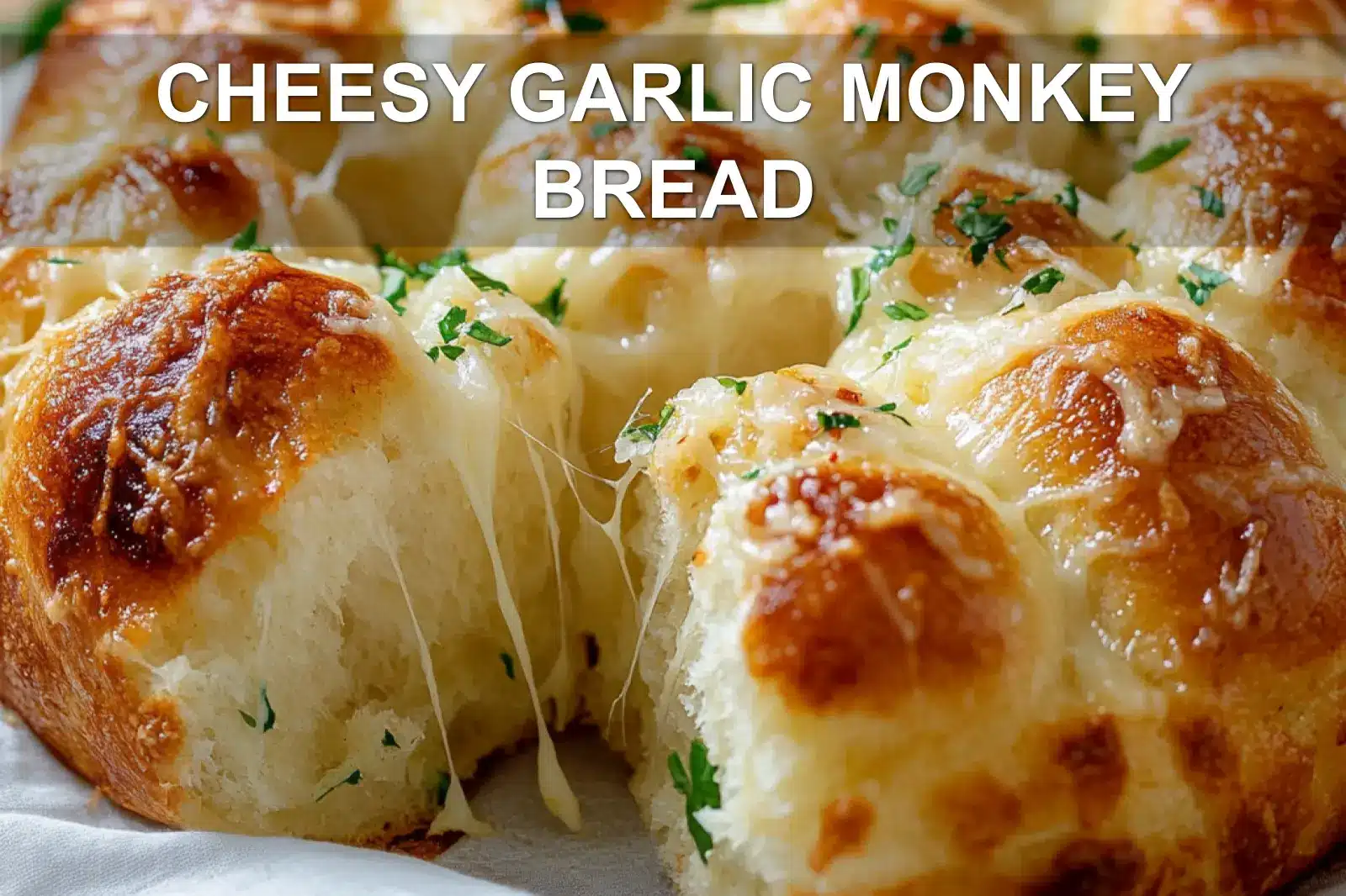 CHEESY GARLIC MONKEY BREAD golden pull apart rolls with melted cheese and fresh herbs
