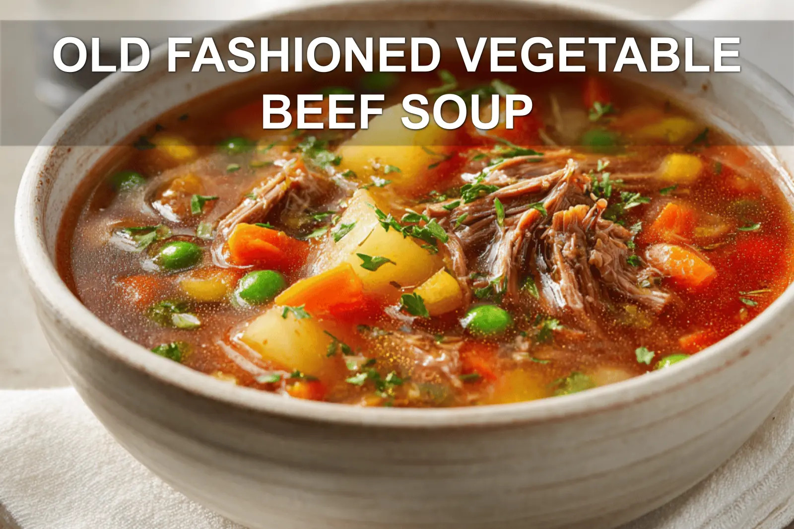 OLD FASHIONED VEGETABLE BEEF SOUP top-down bowl warm comforting stew with shredded beef and vegetables