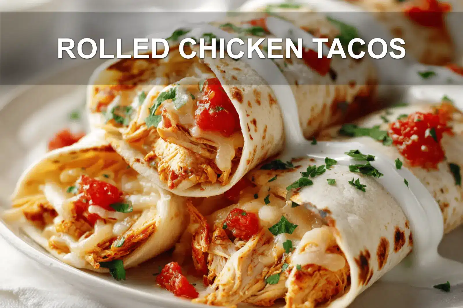 ROLLED CHICKEN TACOS with shredded chicken soft white cheese colby jack and red salsa