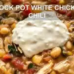 CROCK POT WHITE CHICKEN CHILI centered hero view, clean and uncluttered