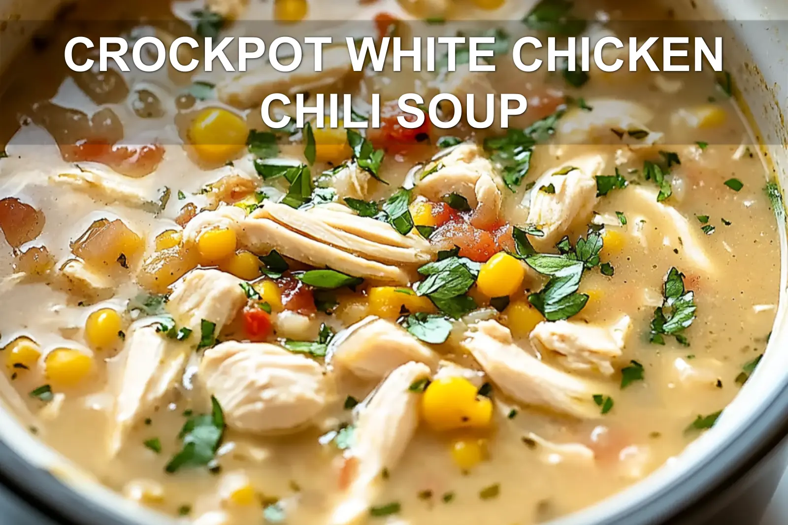 CROCKPOT WHITE CHICKEN CHILI SOUP centered hero view, clean and uncluttered