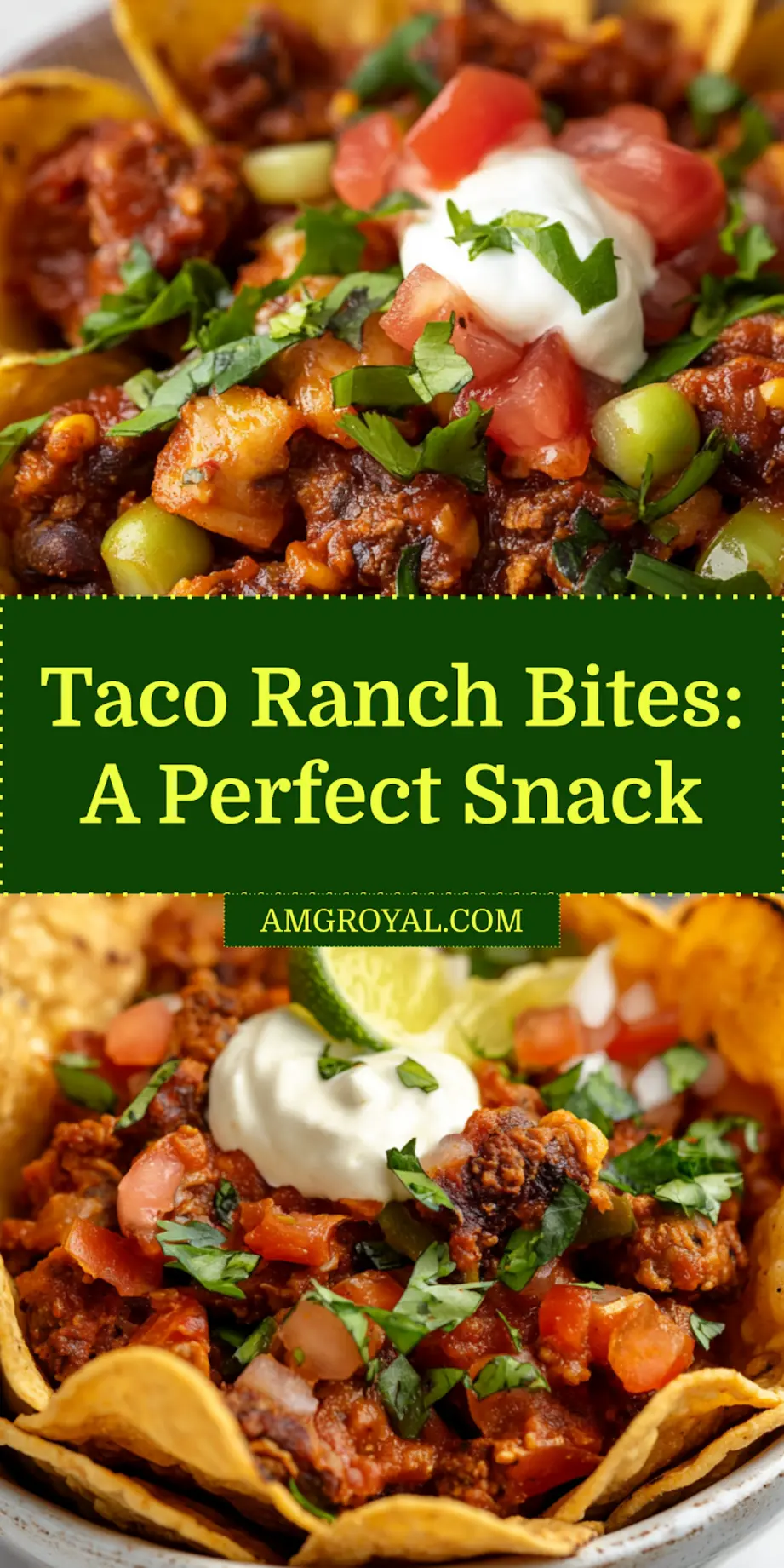 Taco Ranch Bites: Easy and Irresistible Snacks 5 Overhead view of Taco Ranch Bites neatly arranged for serving with garnish