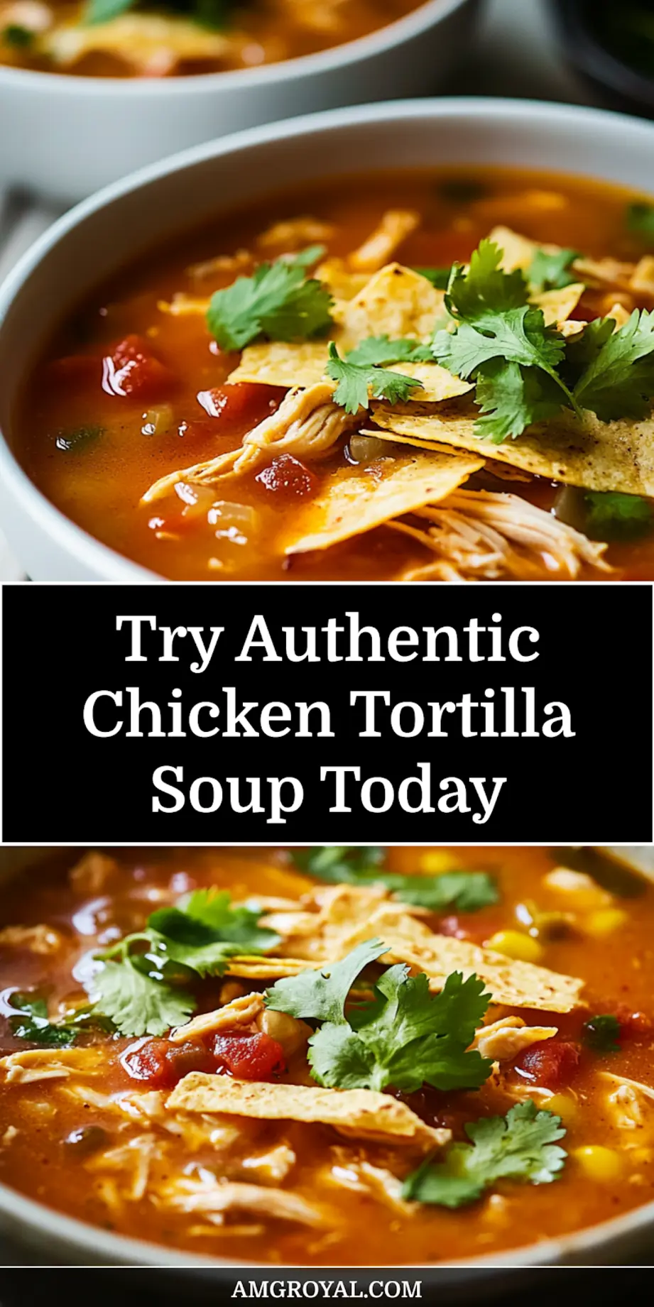 Authentic Chicken Tortilla Soup Recipe Amazing Flavor 6 Bowl of authentic chicken tortilla soup garnished with avocado, cheese, and crispy homemade tortilla strips