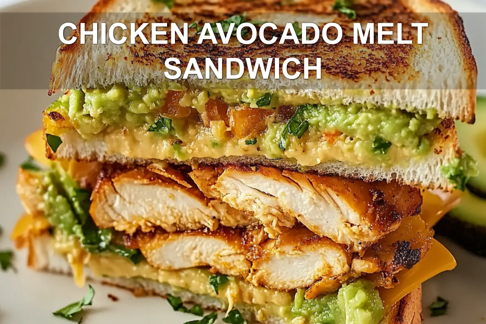 Chicken Avocado Melt Sandwich: Delicious and Easy Recipe
