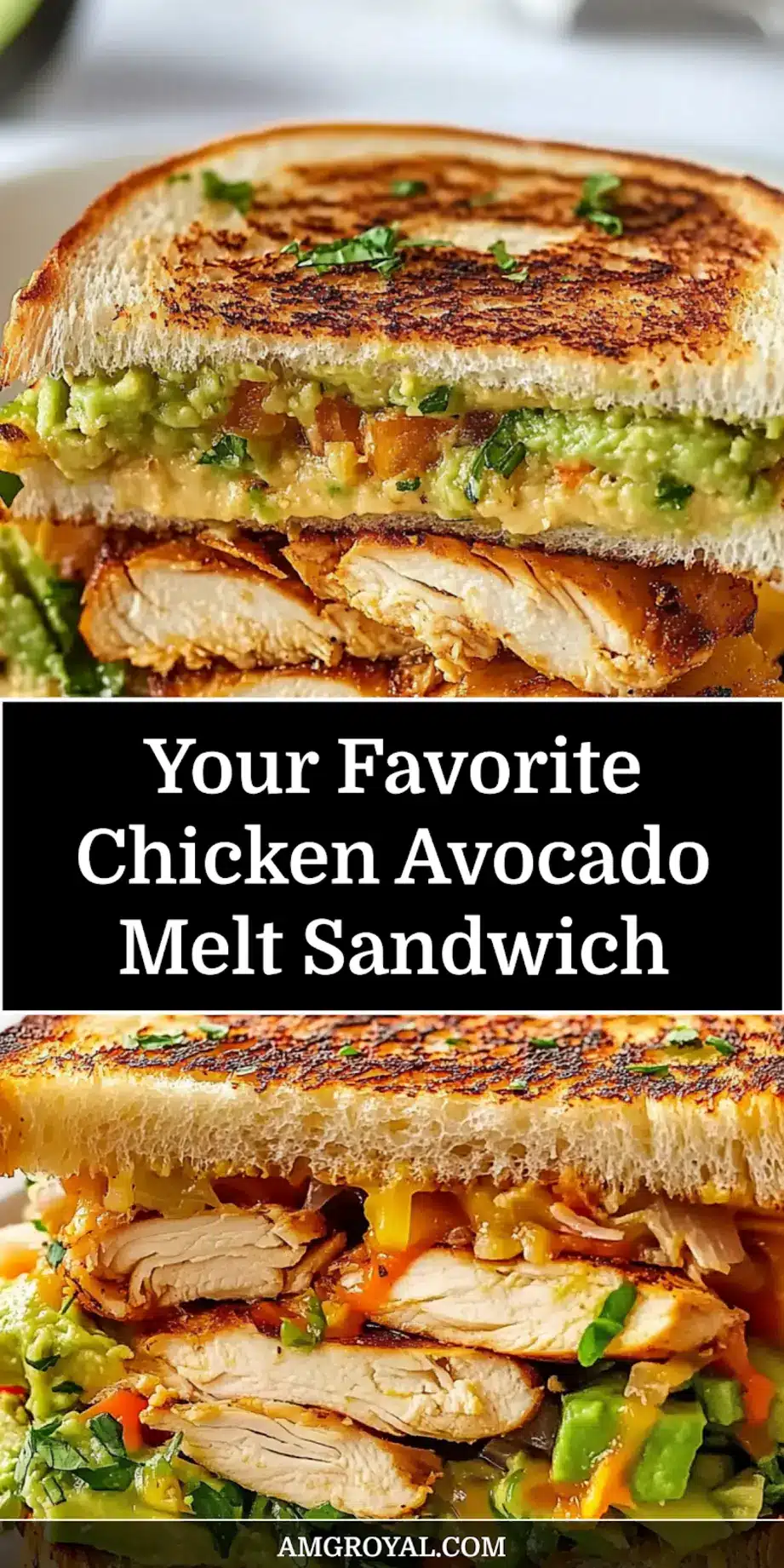 Top-down view of a delicious Chicken Avocado Melt Sandwich, cut in half to show layers of grilled chicken, creamy avocado, and melted cheese on toasted bread.