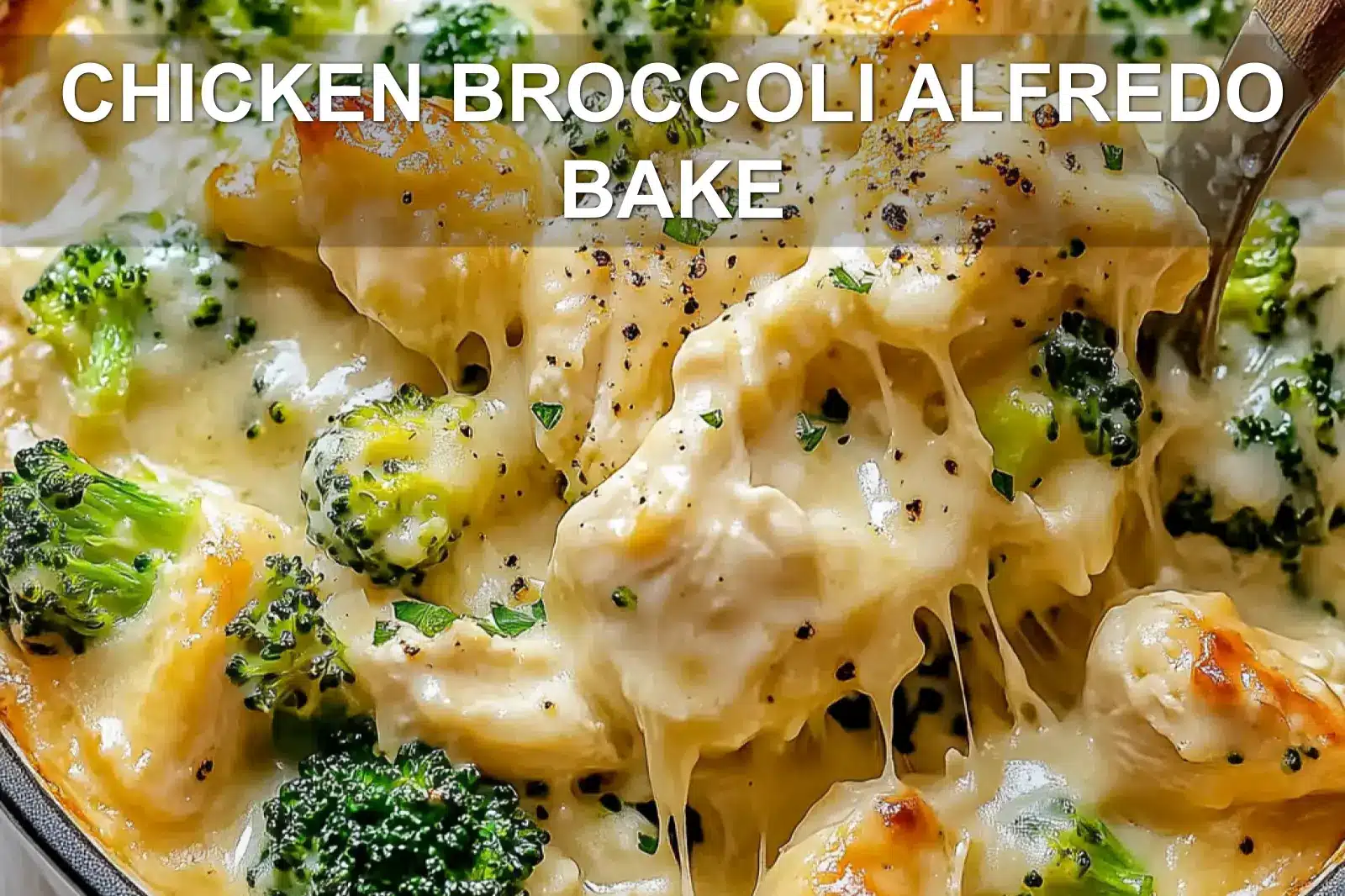 CHICKEN BROCCOLI ALFREDO BAKE centered hero view, clean and uncluttered