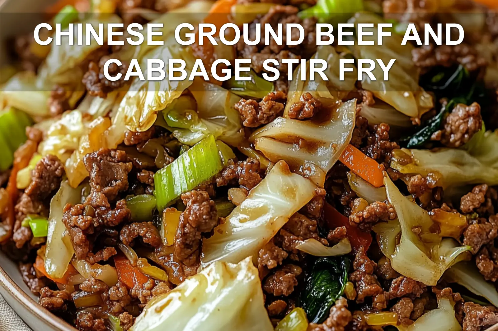 CHINESE GROUND BEEF AND CABBAGE STIR FRY centered hero view, clean and uncluttered