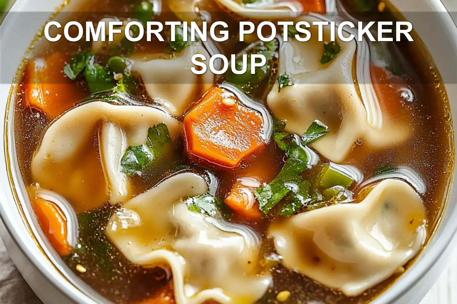 Comforting Potsticker Soup for Delicious Cozy Nights
