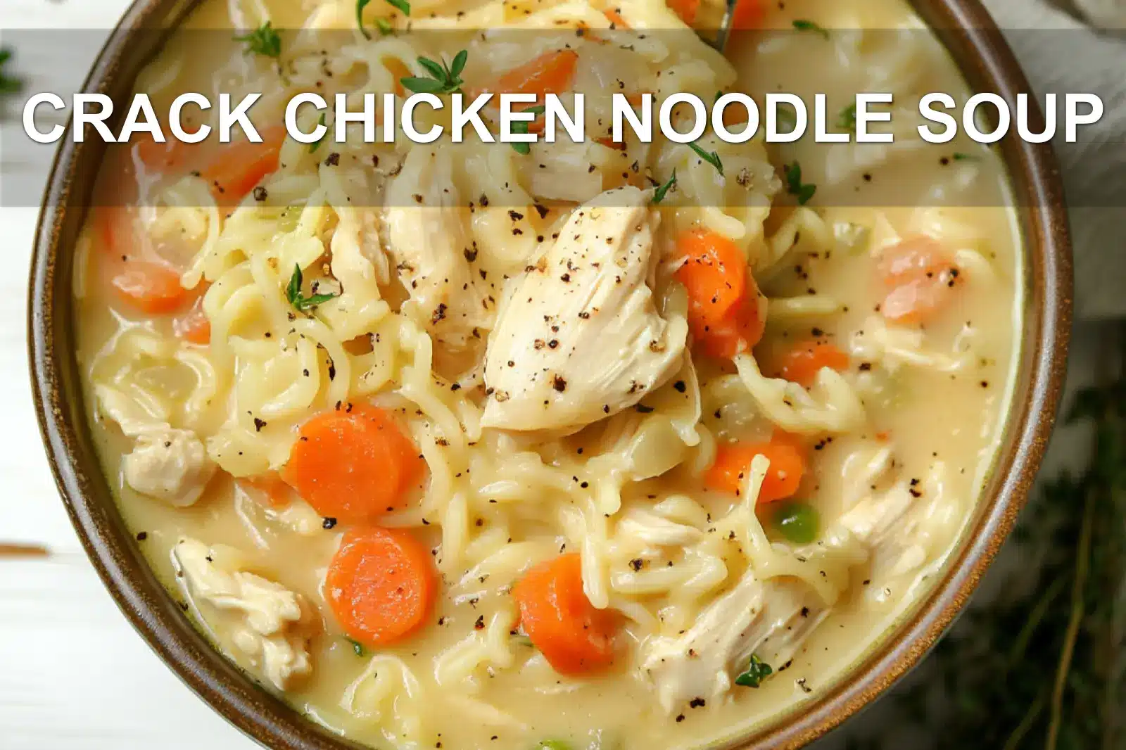 CRACK CHICKEN NOODLE SOUP centered hero view, clean and uncluttered