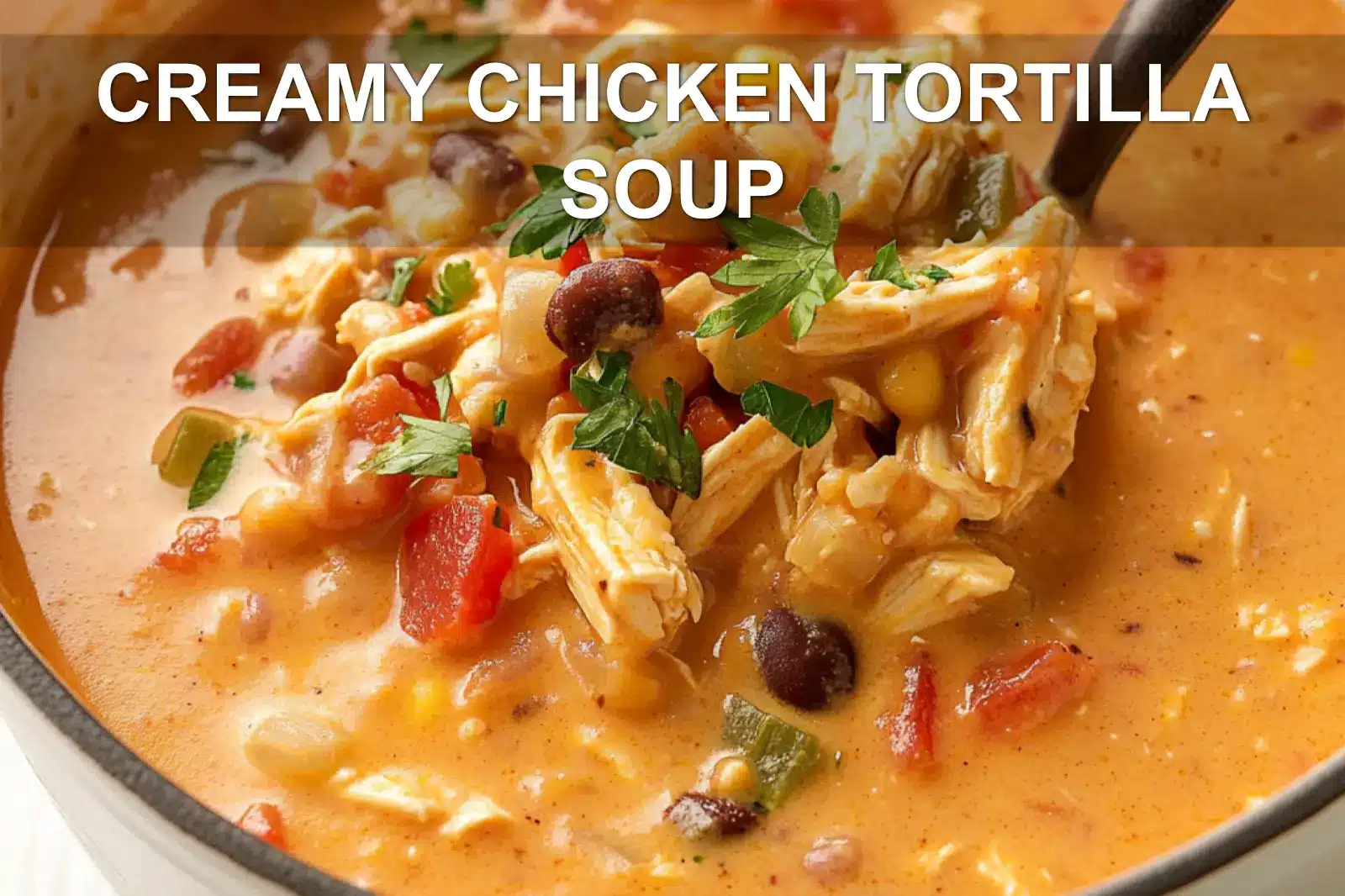 Creamy Chicken Tortilla Soup for a Cozy Night In
