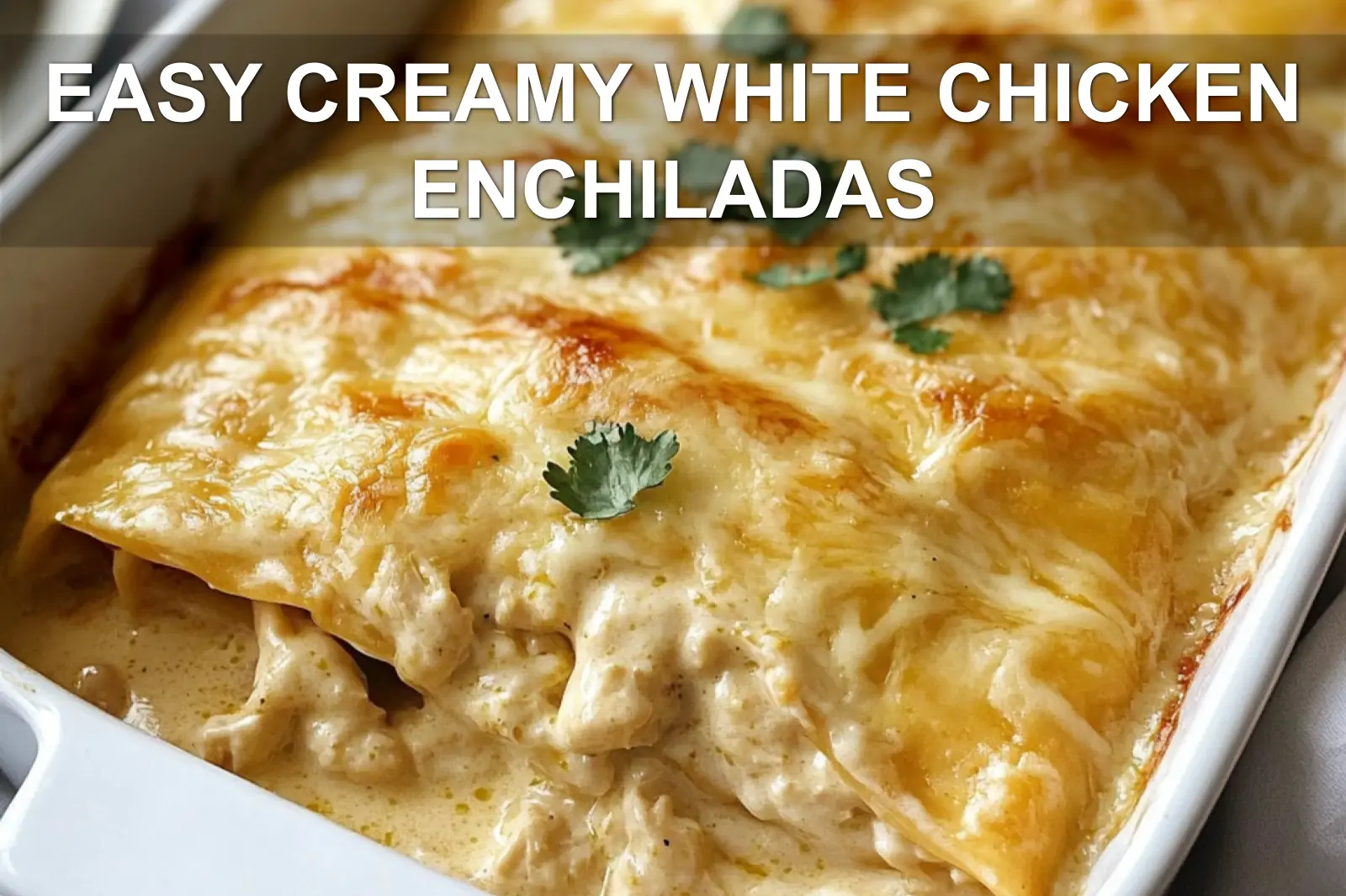 Easy Creamy White Chicken Enchiladas Delightful Recipe