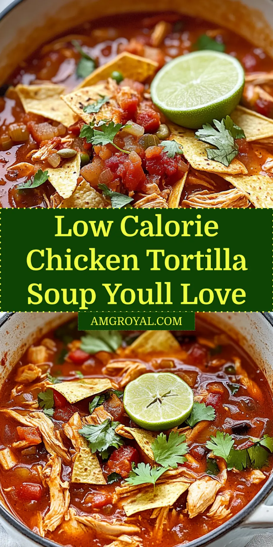 Low Calorie Chicken Tortilla Soup: Easy and Delicious 6 Finished bowl of LOW CALORIE CHICKEN TORTILLA SOUP with garnishes and fresh herbs