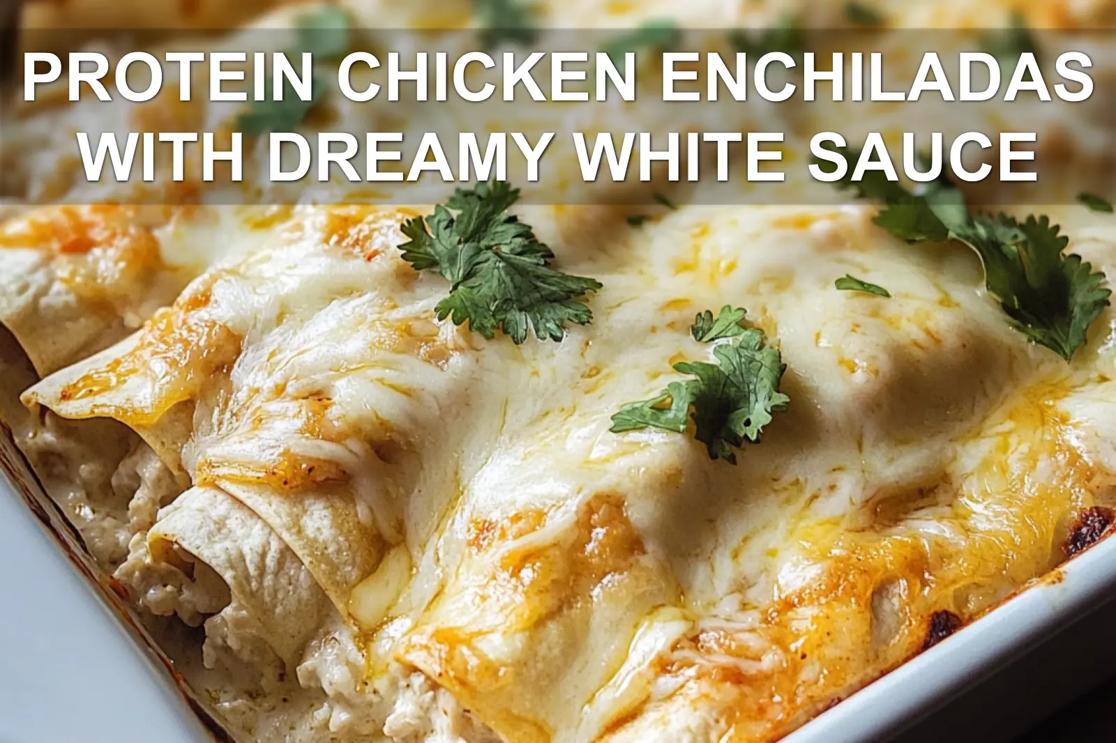 PROTEIN CHICKEN ENCHILADAS WITH DREAMY WHITE SAUCE centered hero view, clean and uncluttered