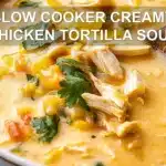 SLOW COOKER CREAMY CHICKEN TORTILLA SOUP centered hero view, clean and uncluttered