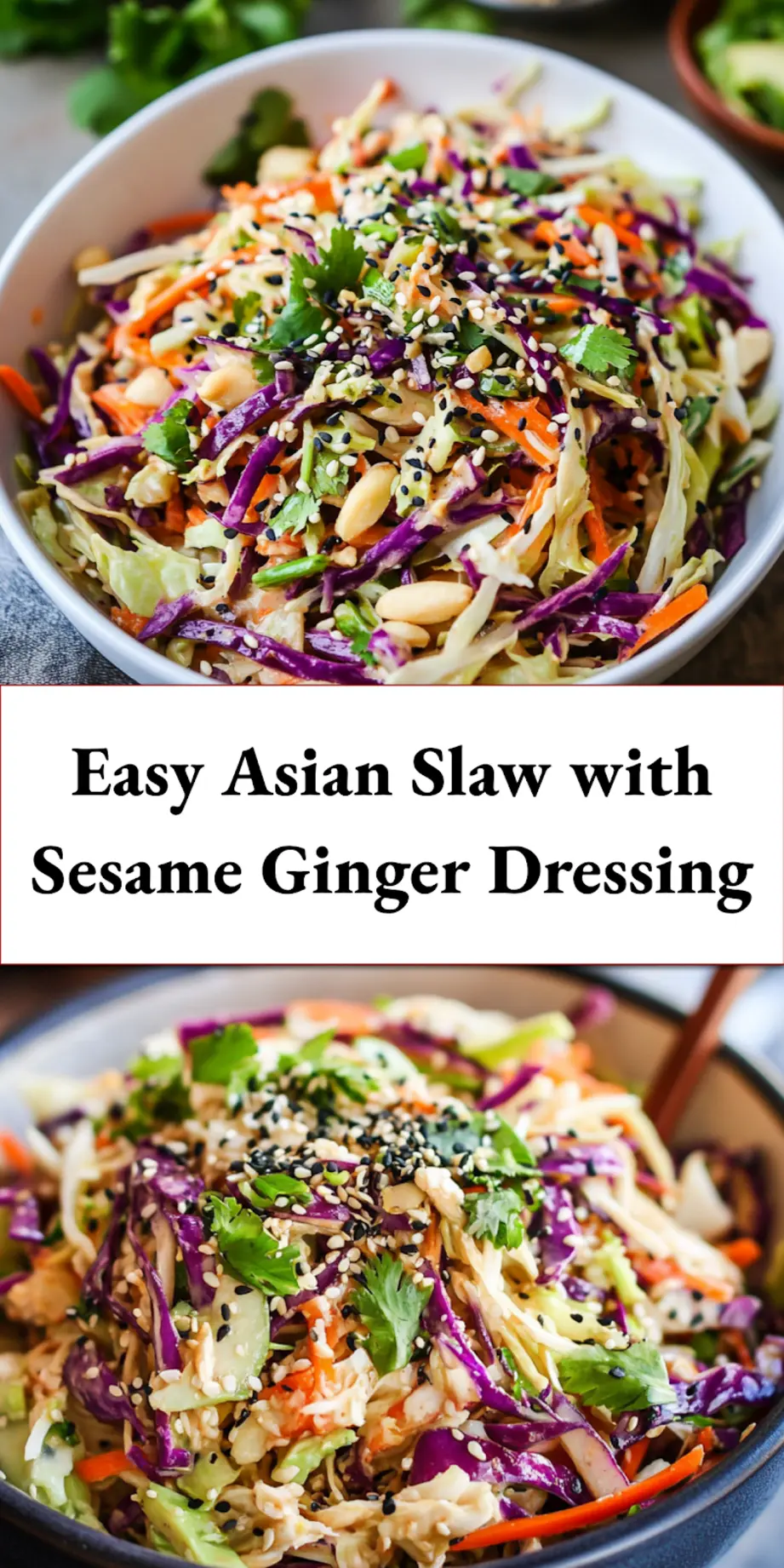 Asian Slaw with Sesame Ginger Dressing plated and ready to serve, clean presentation