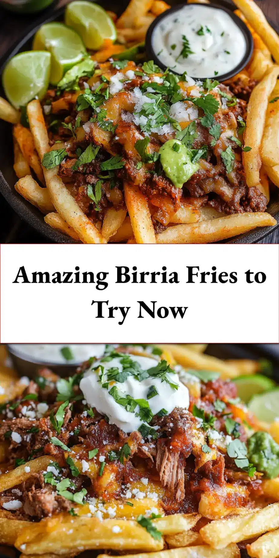 Finished Birria Fries served hot with melted cheese and garnished with onion and cilantro