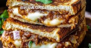 BIRRIA GRILLED CHEESE centered hero view, clean and uncluttered