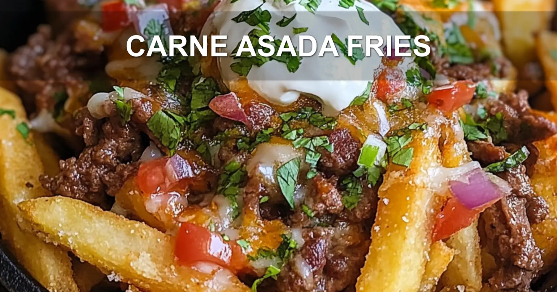 CARNE ASADA FRIES centered hero view, clean and uncluttered