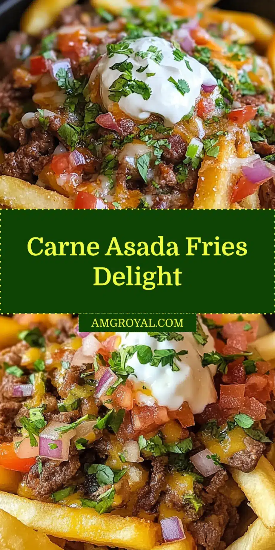 Deliciously plated carne asada fries with fresh toppings