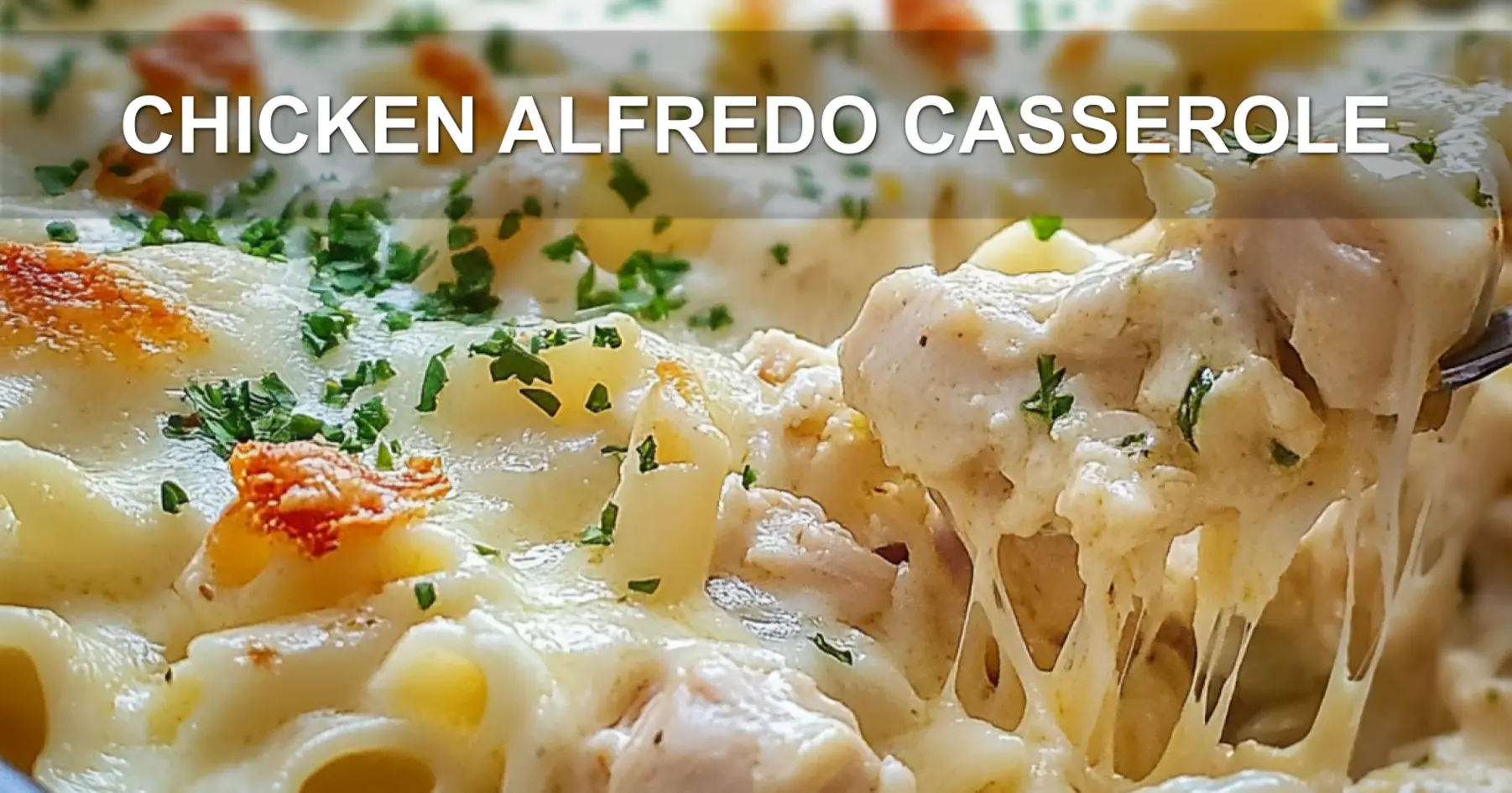 CHICKEN ALFREDO CASSEROLE centered hero view, clean and uncluttered