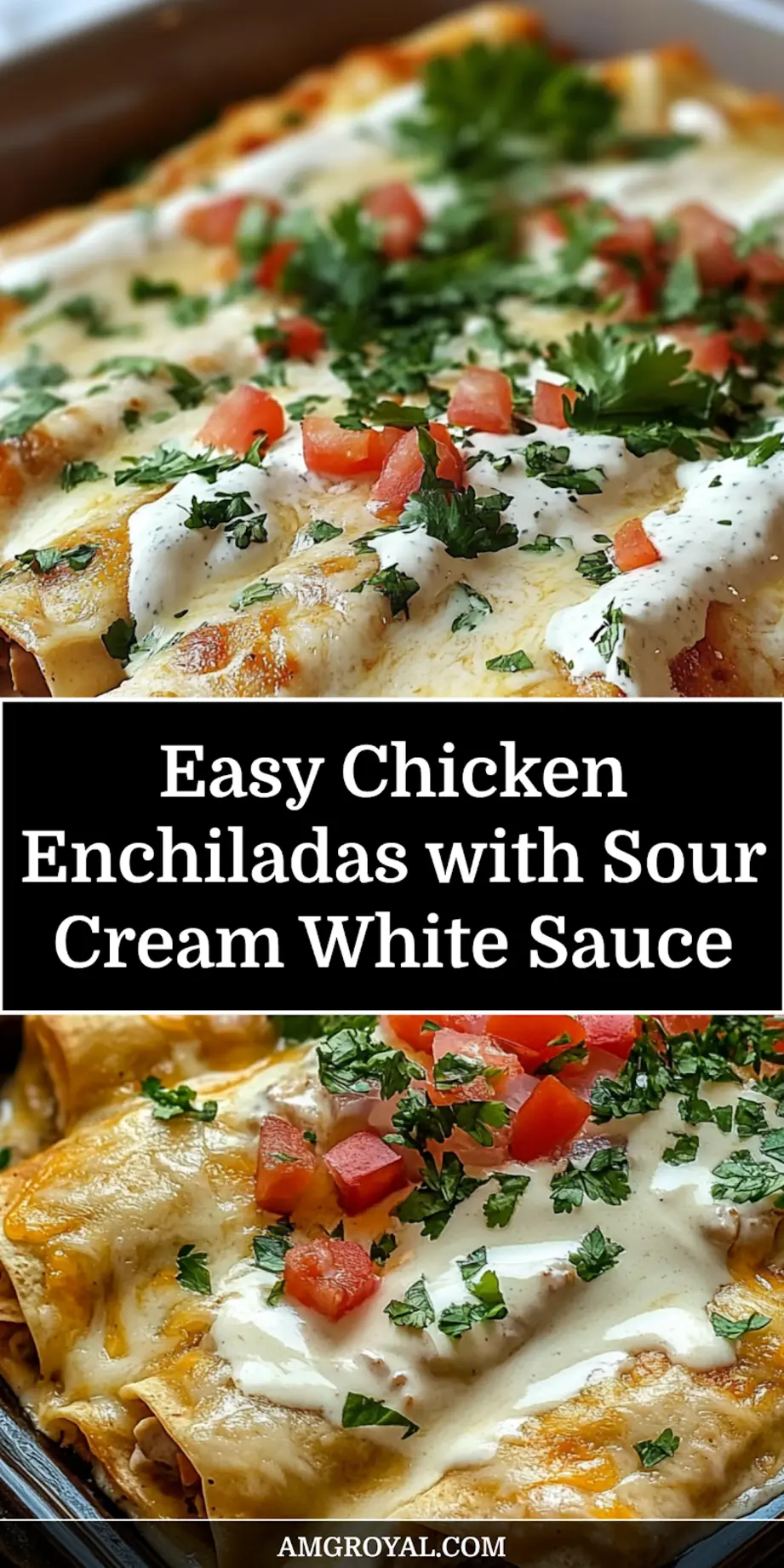 Chicken Enchiladas with Sour Cream White Sauce: Delicious Recipe to Try 7 Finished chicken enchiladas with sour cream white sauce bubbling and golden