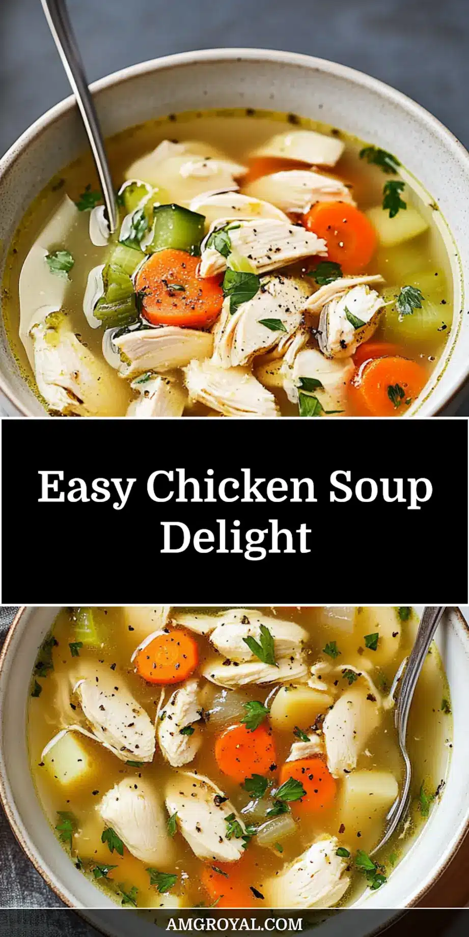 A comforting bowl of chicken soup with vegetables