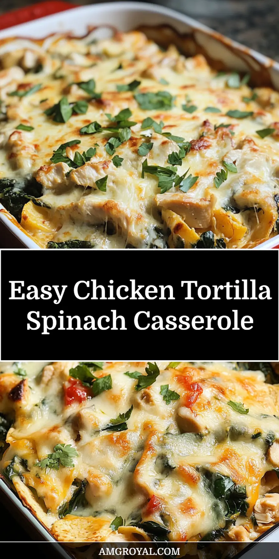 Golden baked Chicken Tortilla Spinach Casserole fresh from the oven