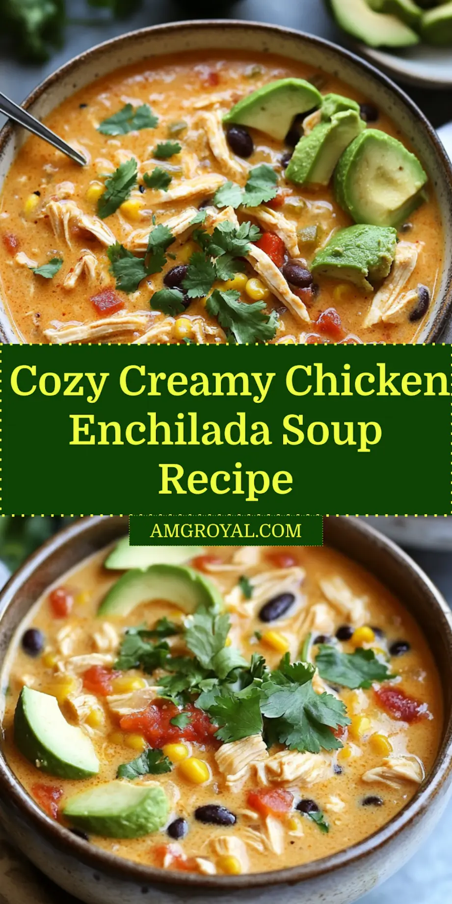 Creamy Chicken Enchilada Soup Comfort Food Made Easy 7 Creamy chicken enchilada soup served in a bowl with fresh toppings