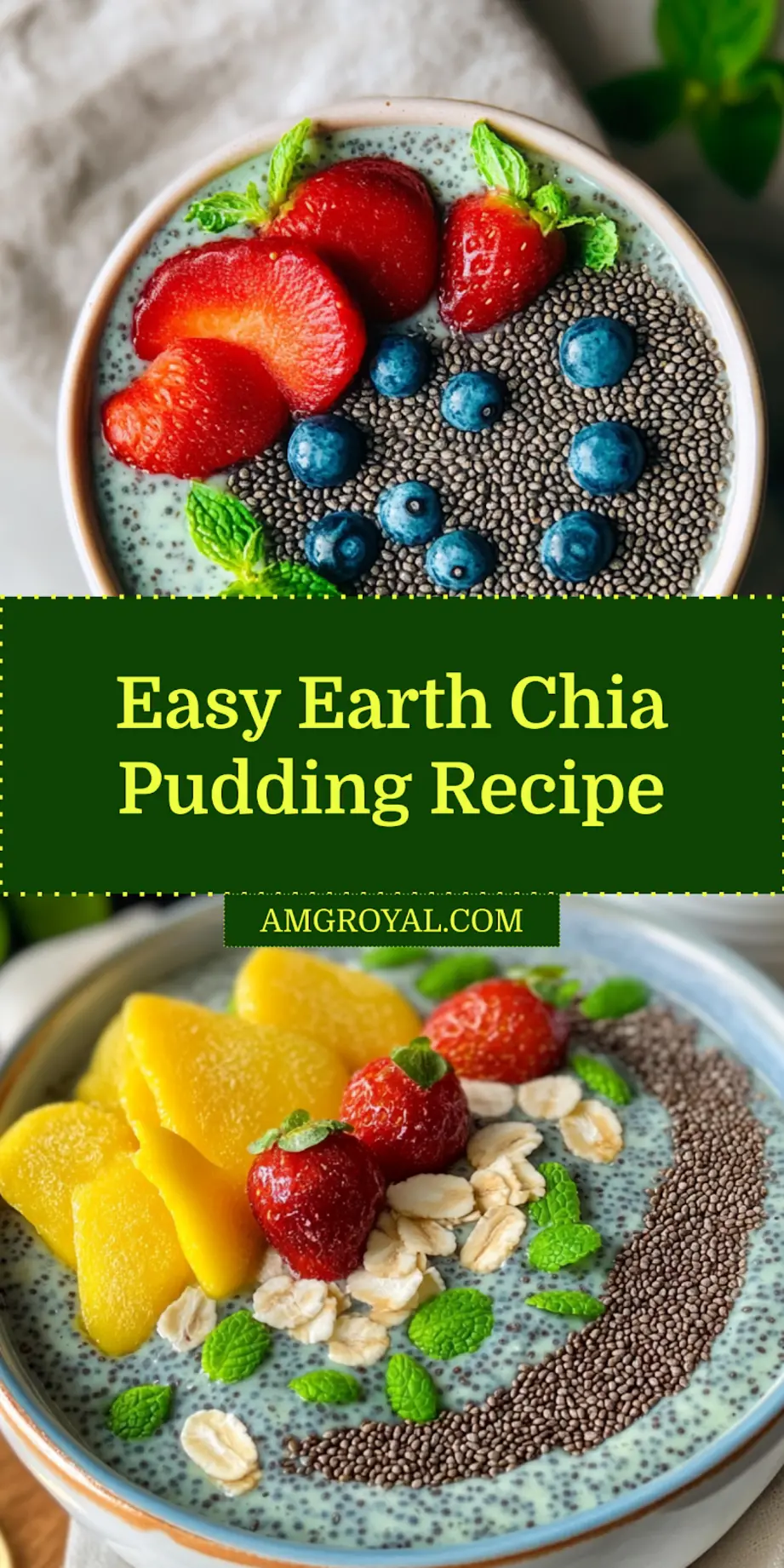Earth Chia Pudding final serving, clean and uncluttered