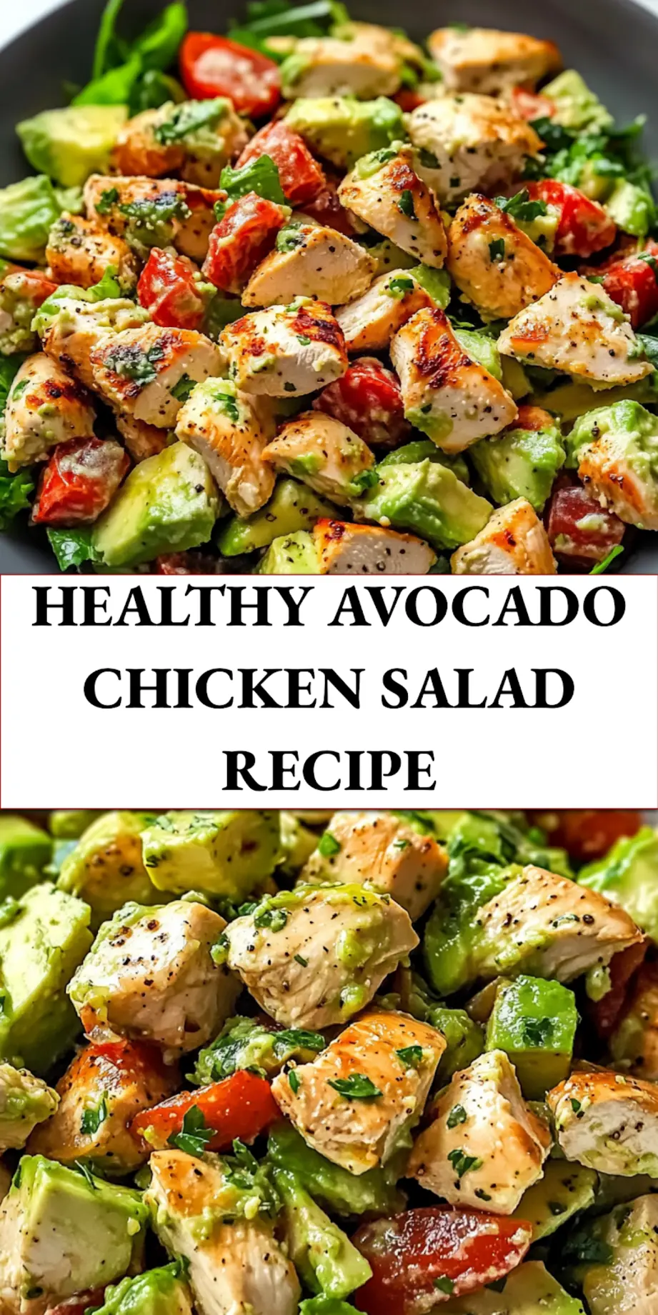 HEALTHY AVOCADO CHICKEN SALAD centered hero view, clean and uncluttered_pin