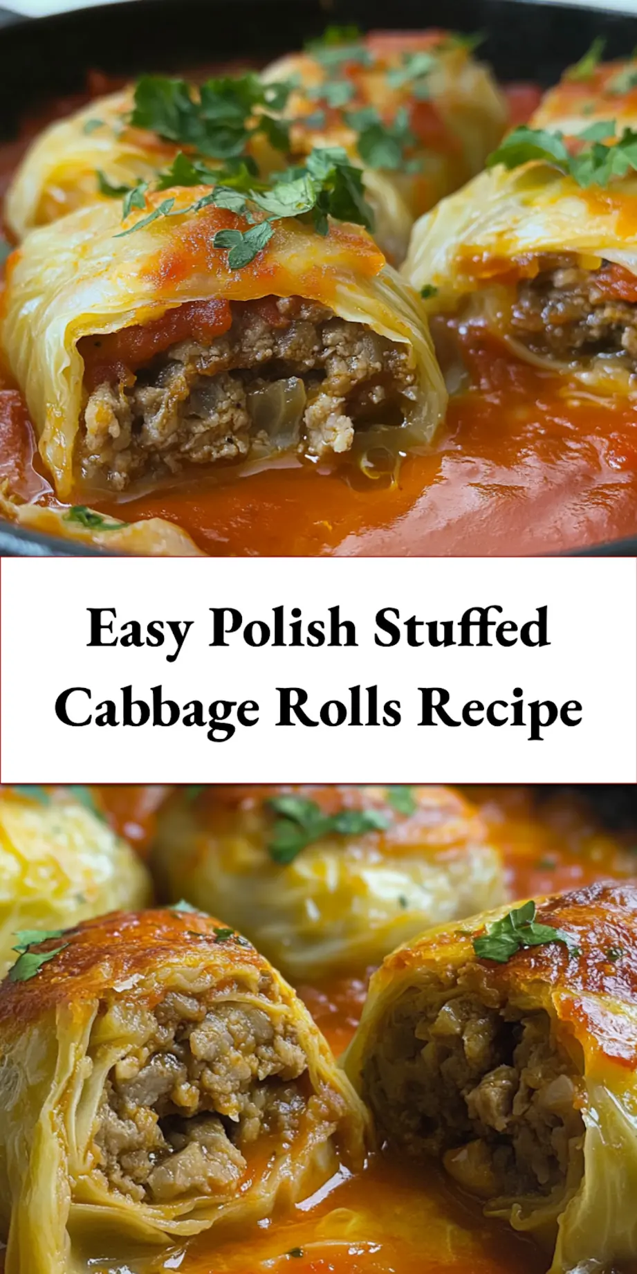 Polish stuffed cabbage rolls plated elegantly, showcasing the tender cabbage and rich tomato sauce