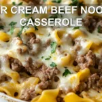 SOUR CREAM BEEF NOODLE CASSEROLE centered hero view, clean and uncluttered