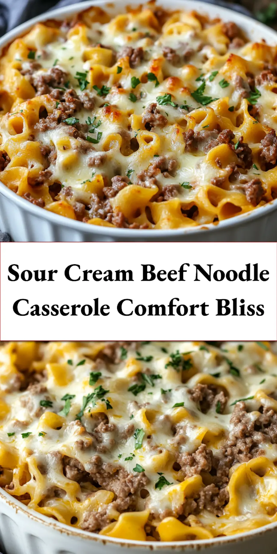 SOUR CREAM BEEF NOODLE CASSEROLE centered hero view, clean and uncluttered_pin