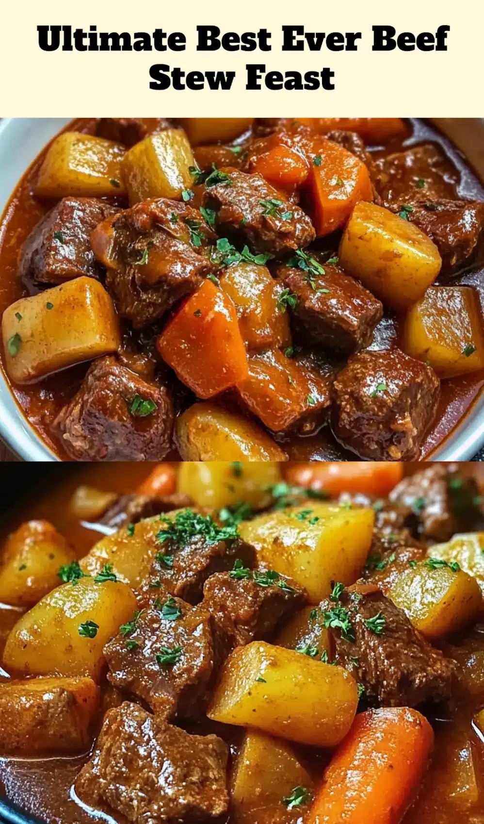 Close-up of best ever beef stew served in a bowl with fresh herbs