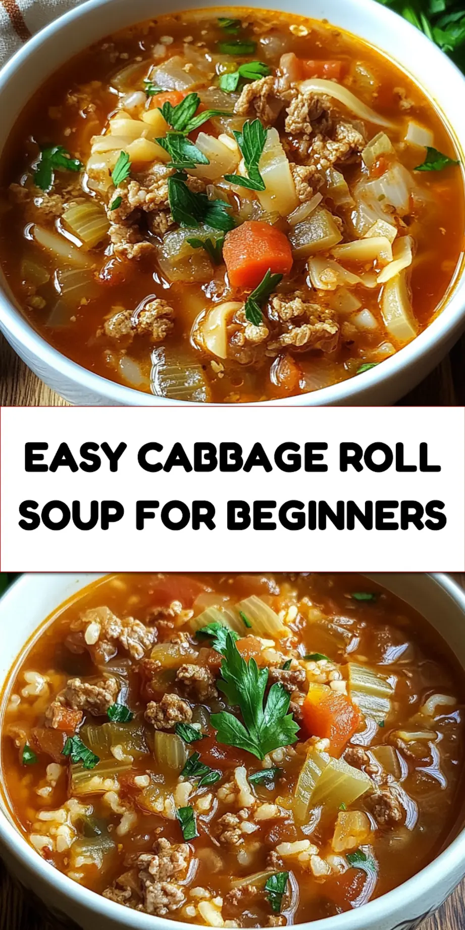 CABBAGE ROLL SOUP centered hero view, clean and uncluttered