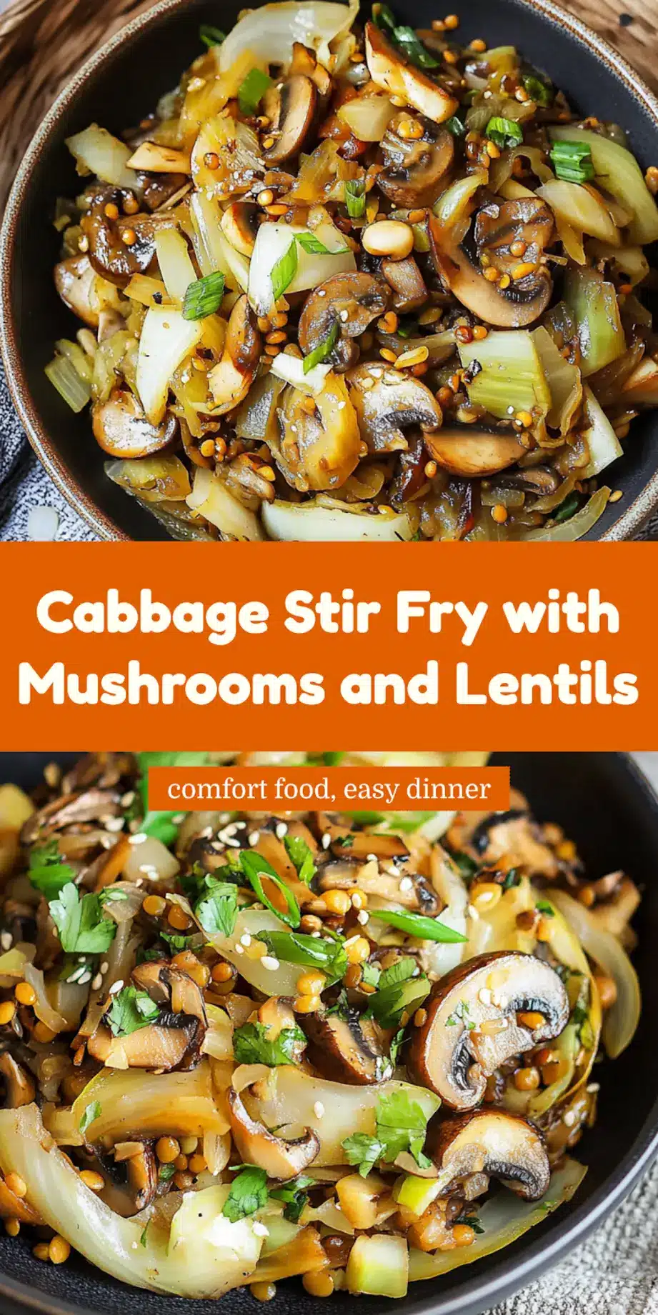 CABBAGE STIR FRY WITH MUSHROOMS AND LENTILS centered hero view, clean and uncluttered