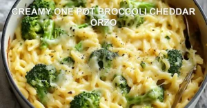 CREAMY ONE POT BROCCOLI CHEDDAR ORZO centered hero view, clean and uncluttered