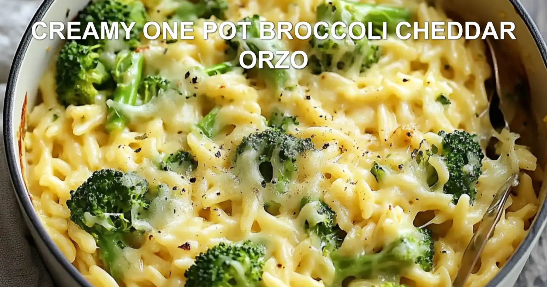Easy Creamy One Pot Broccoli Cheddar Orzo Recipe