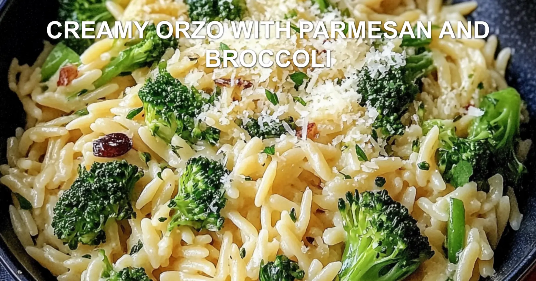 CREAMY ORZO WITH PARMESAN AND BROCCOLI centered hero view, clean and uncluttered