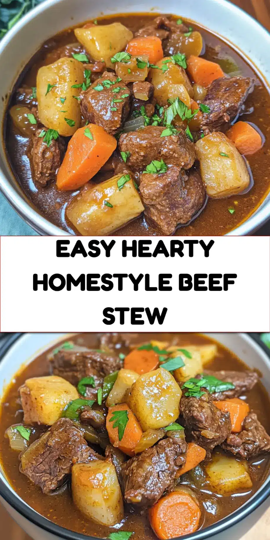 HEARTY HOMESTYLE BEEF STEW centered hero view, clean and uncluttered