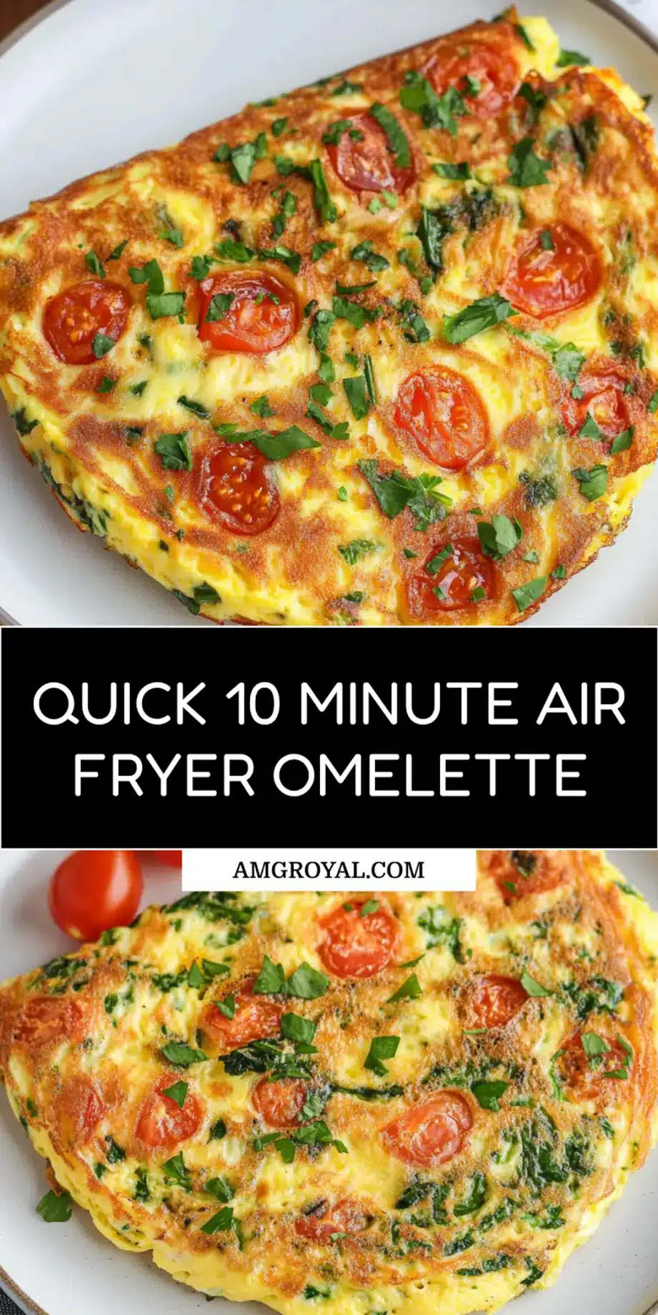 10 MINUTE AIR FRYER OMELETTE centered hero view, clean and uncluttered_pin